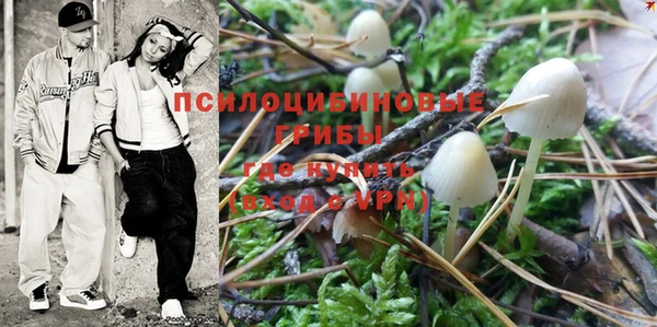 дмт Гусев