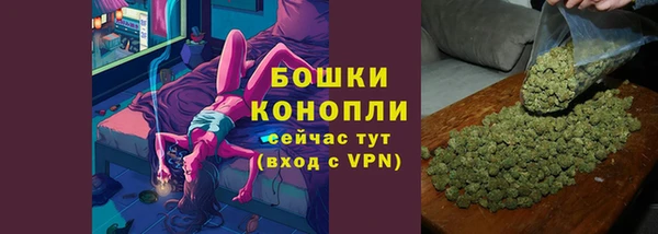 твердый Гусь-Хрустальный