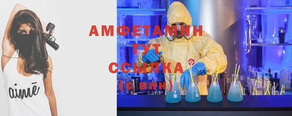 твердый Гусь-Хрустальный