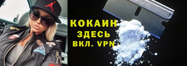дмт Гусев