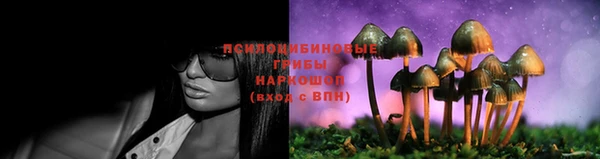 твердый Гусь-Хрустальный