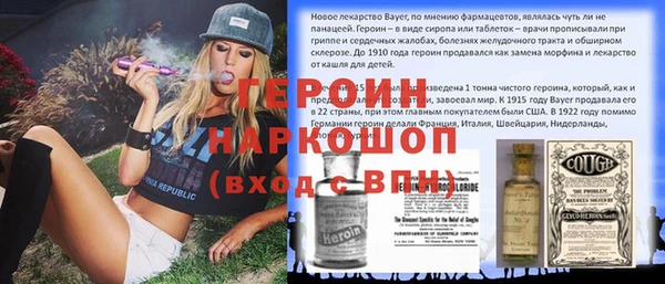 дмт Гусев