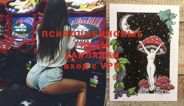 дмт Гусев