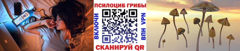 Купить закладки  Киренск  Галлюциногенные грибы мухоморы 